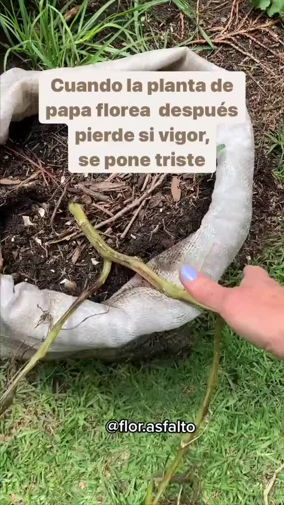 @Datos Verdes