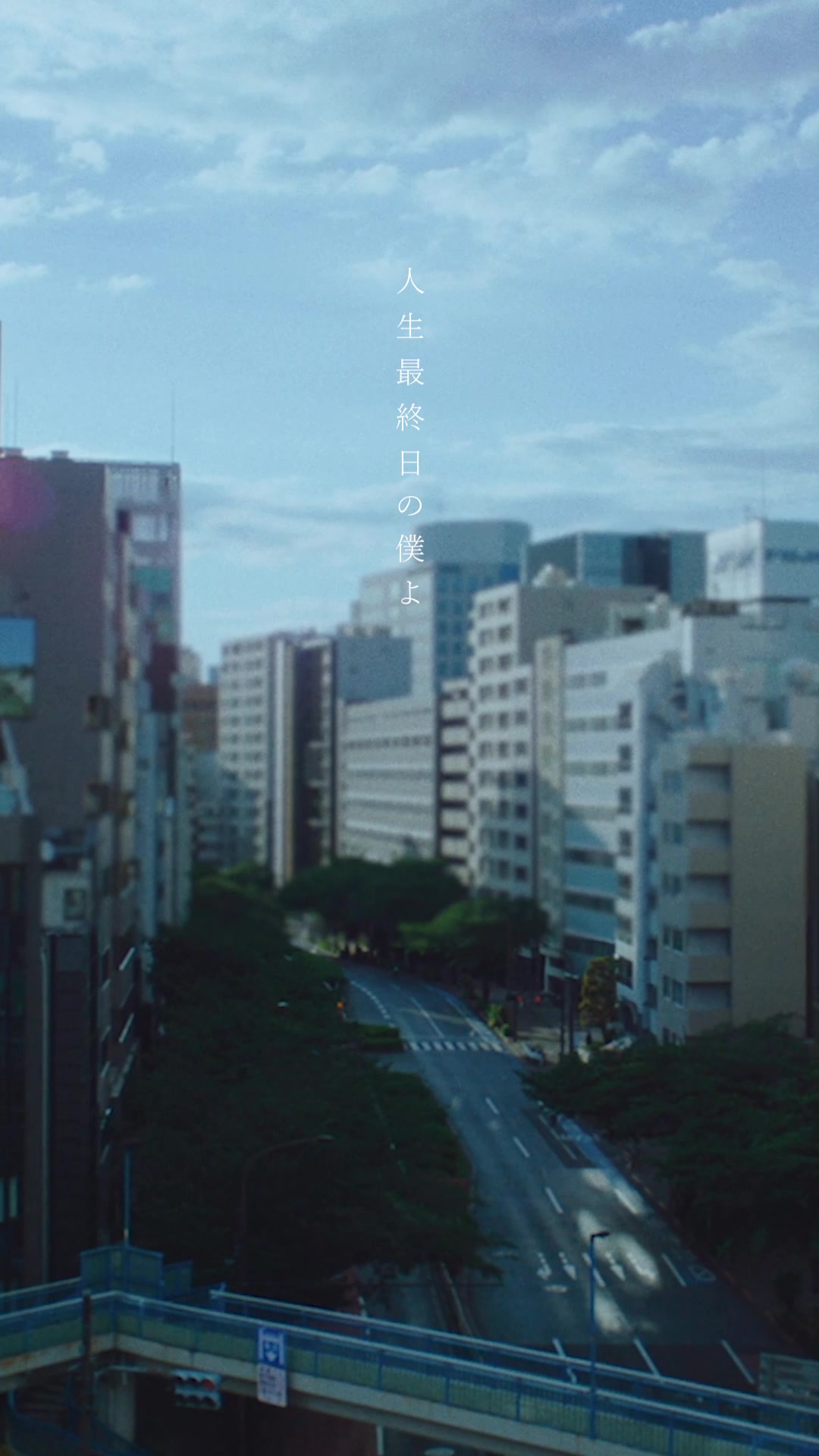 @hashiguchi_wacci