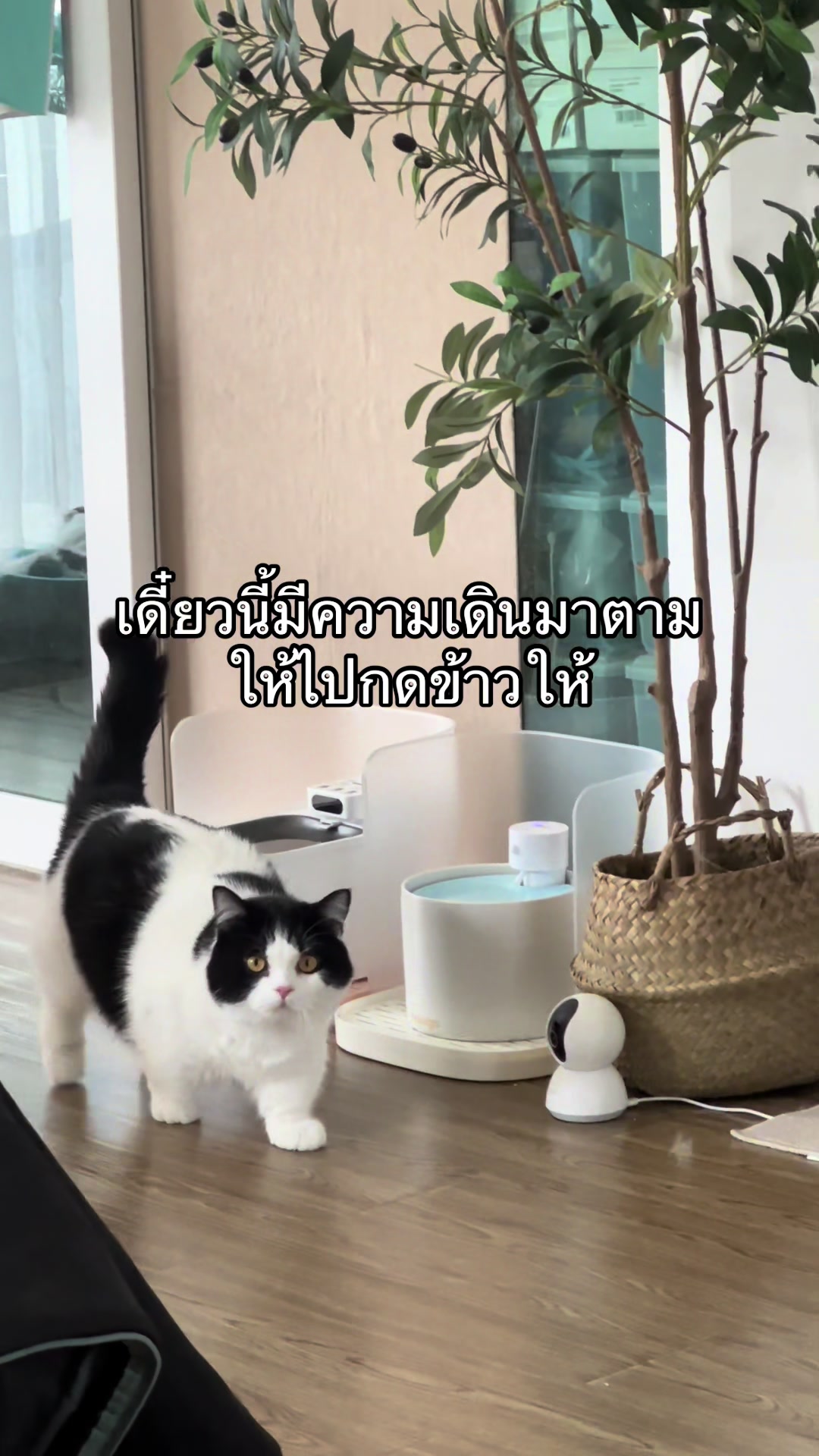 @เยอร์เก้นอยากเป็นดารา