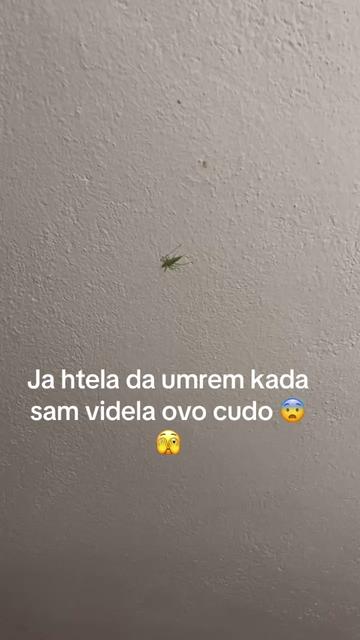 @🧚🏻&zwj;♀️miciii92🔦🌟