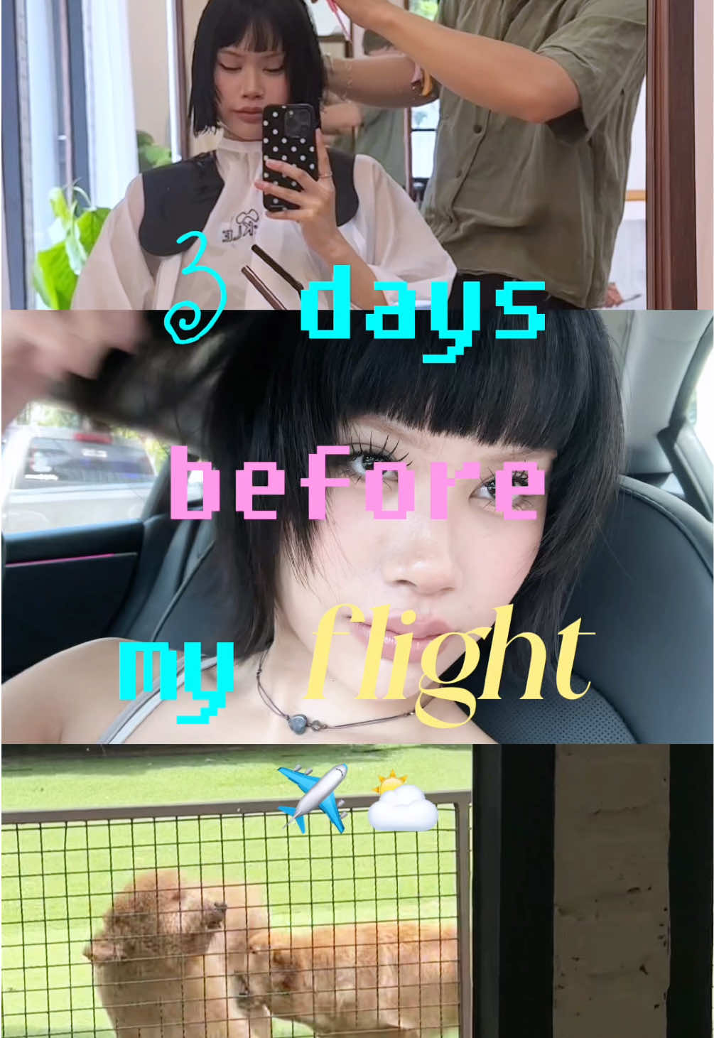 @เมเมป้าแม่น้องหลิก