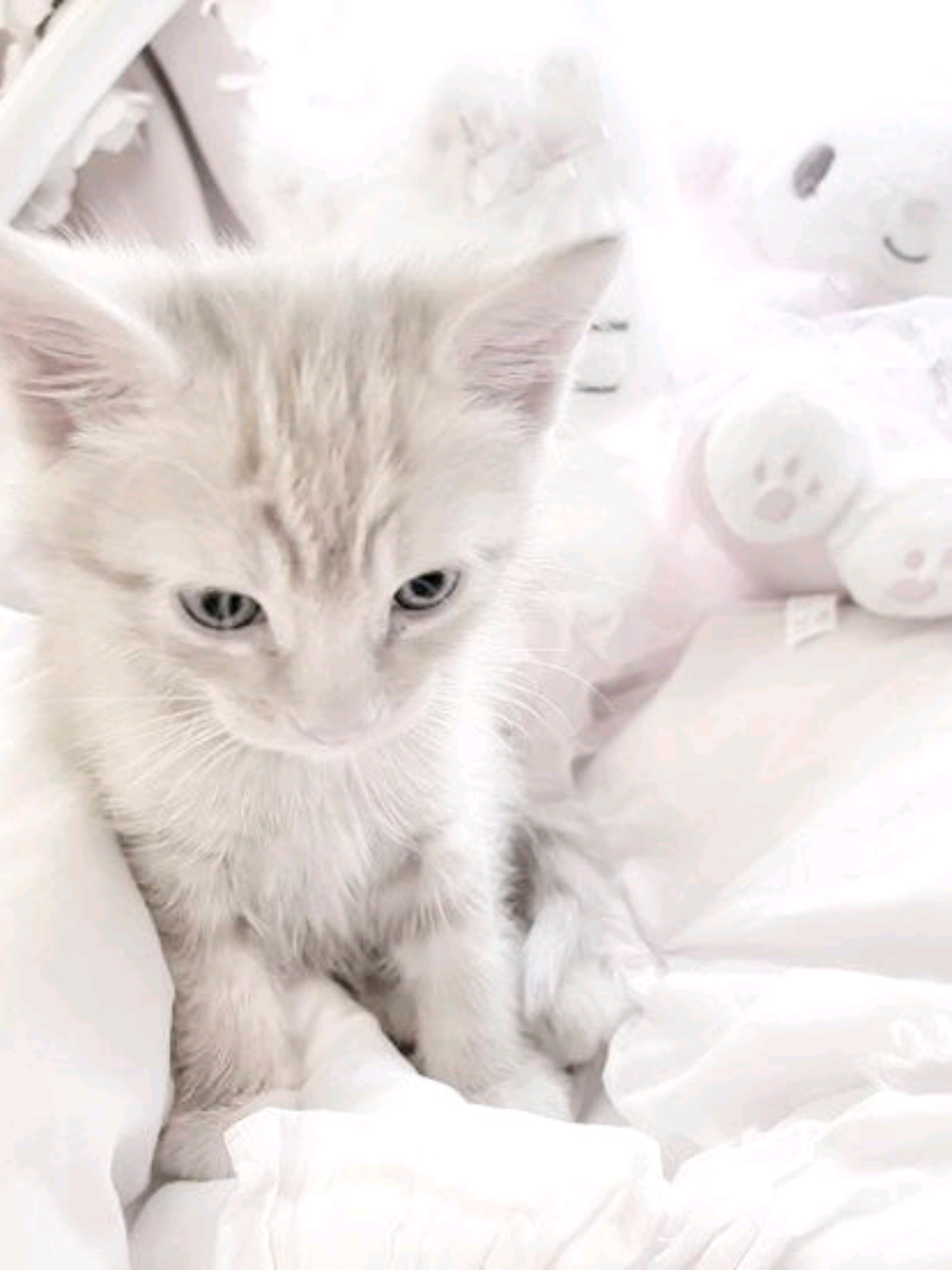 @꒰ঌDyfi໒꒱