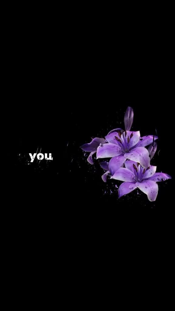 @Sophia Colmenares
