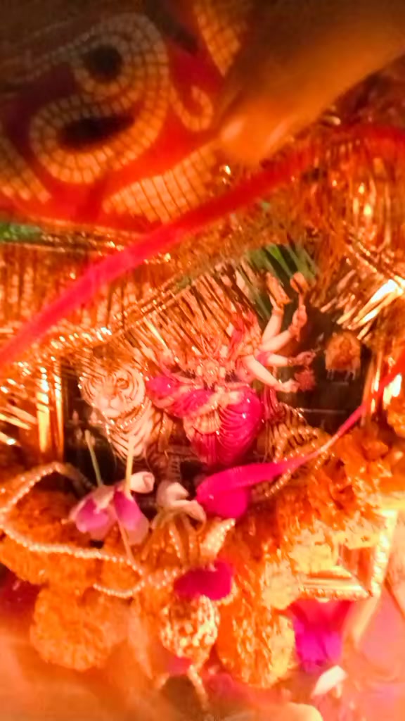 @renu_sharma1174