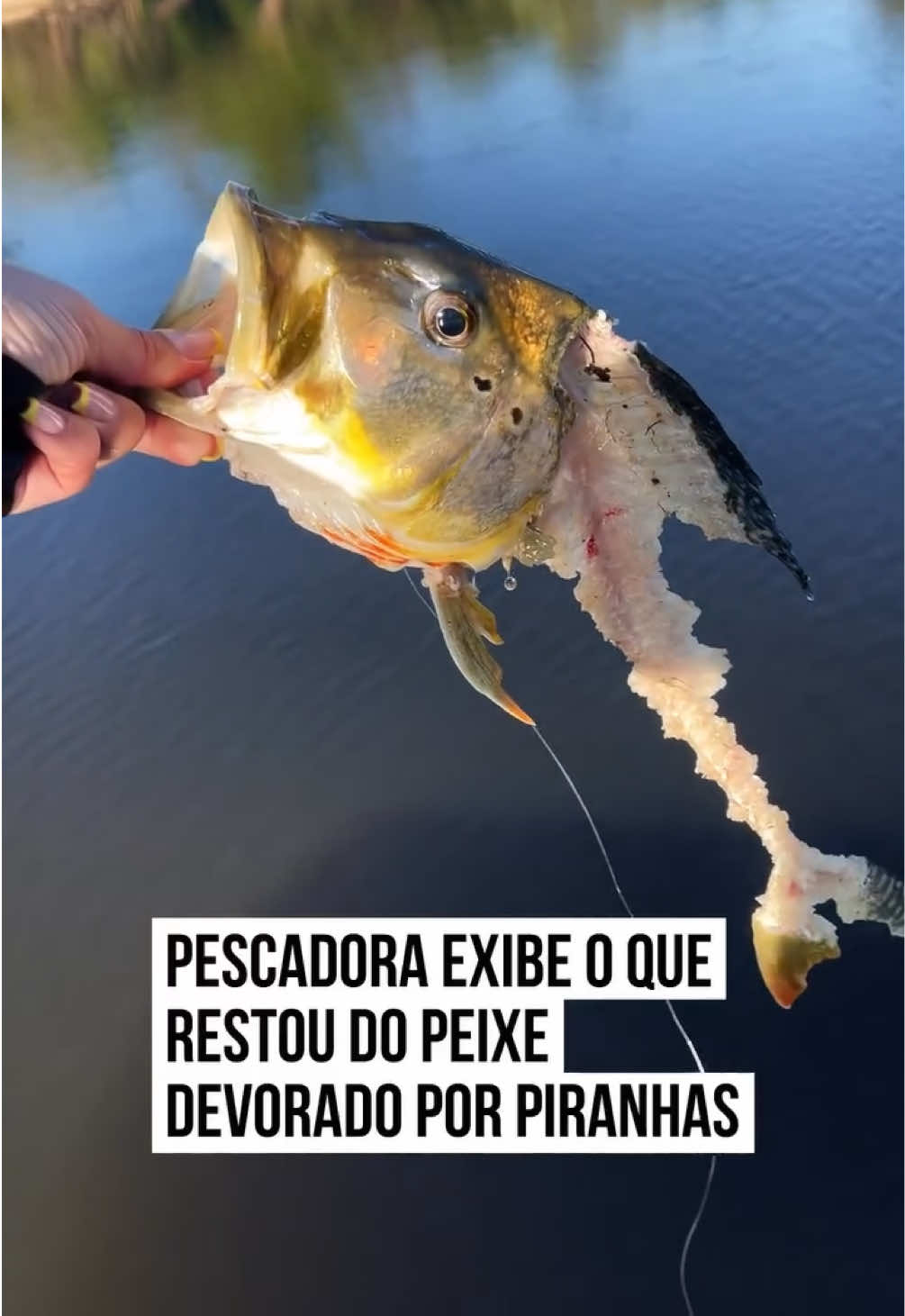 @Metrópoles Oficial