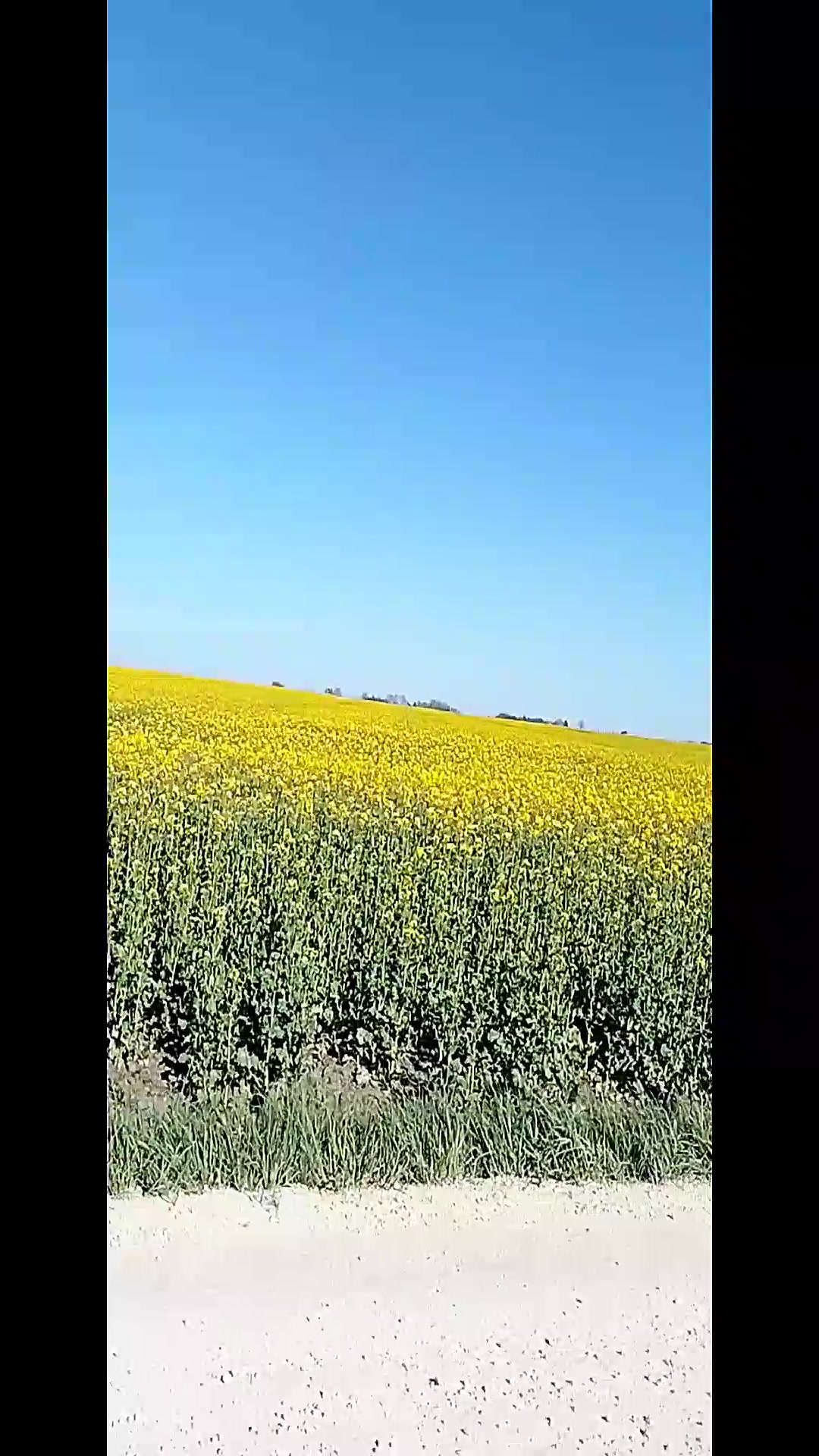 @💙Леся💛