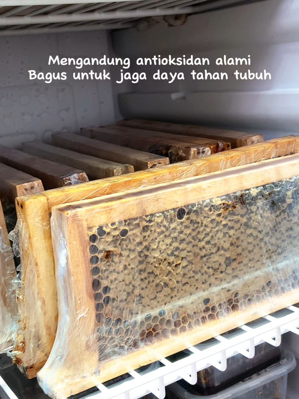 @maduclb🍯
