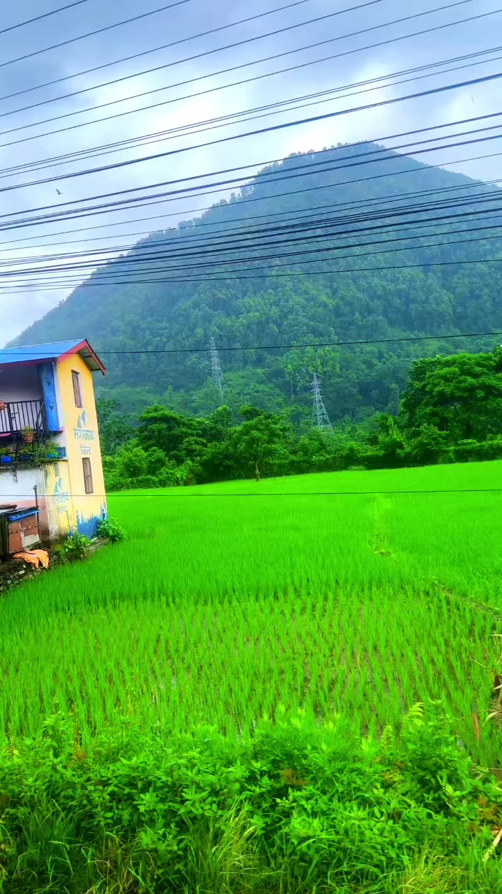 @♣𝙎𝙪𝙧𝙮𝙖⬅♥✔🇳🇵🇶🇦