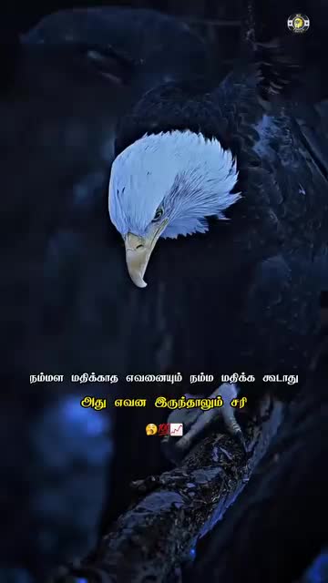 @prasanth baby 🗡🇱🇰