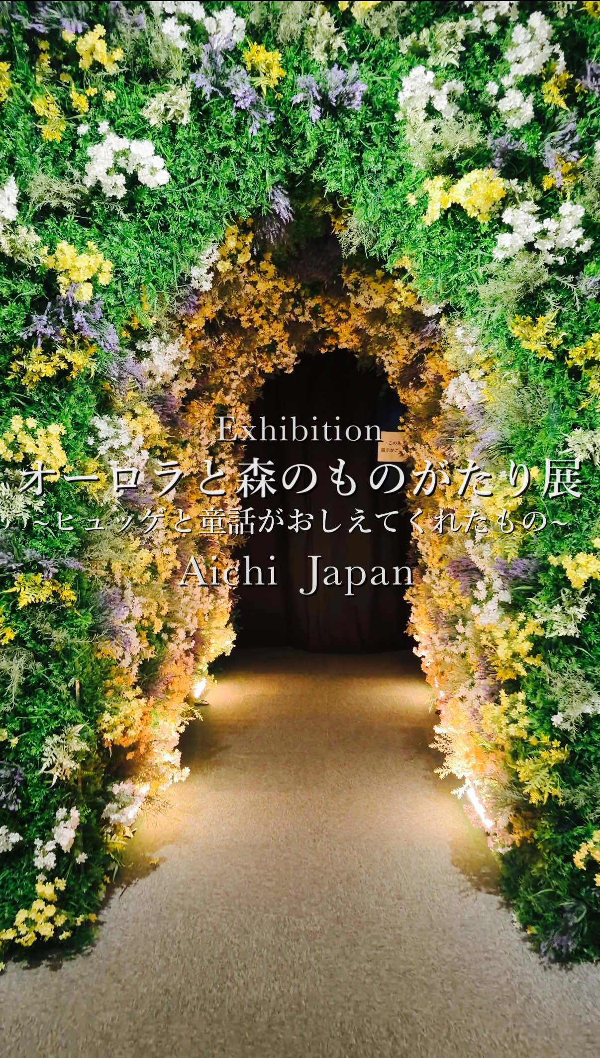 @tabi_momoka/観光•旅行