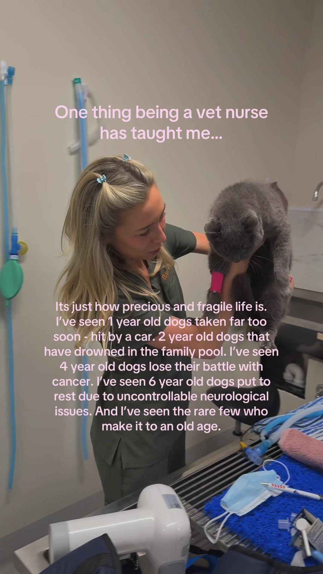 @Tess the Vet Nurse