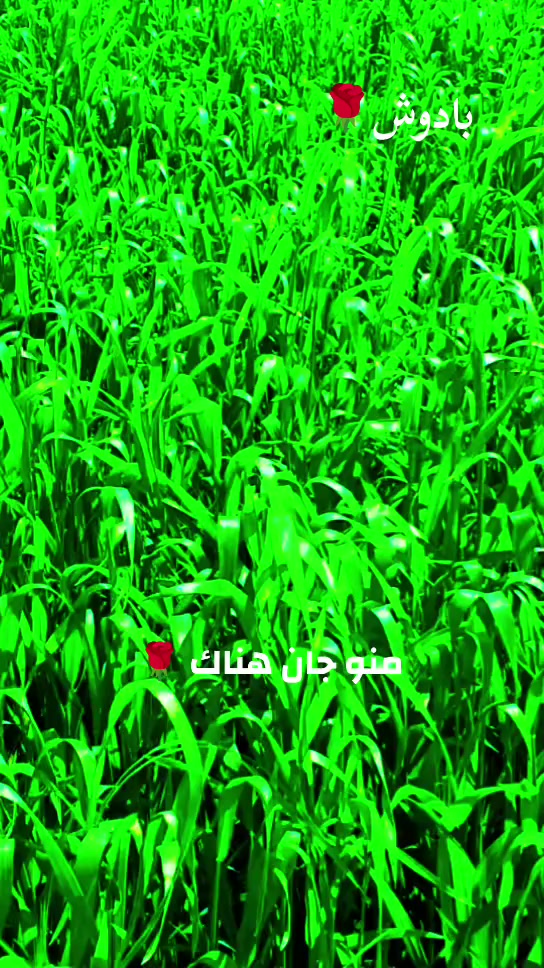@جاسم🖤🍯