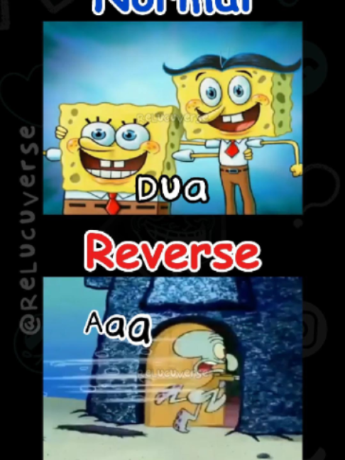 @ReLucuVerse