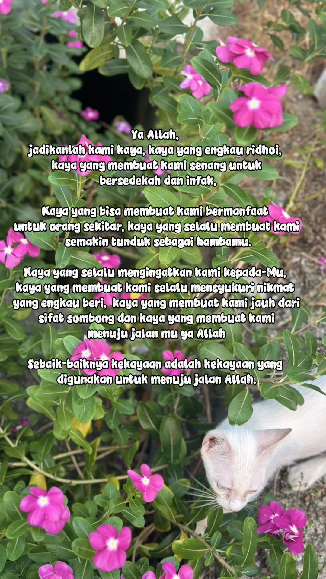 @Mok Abah
