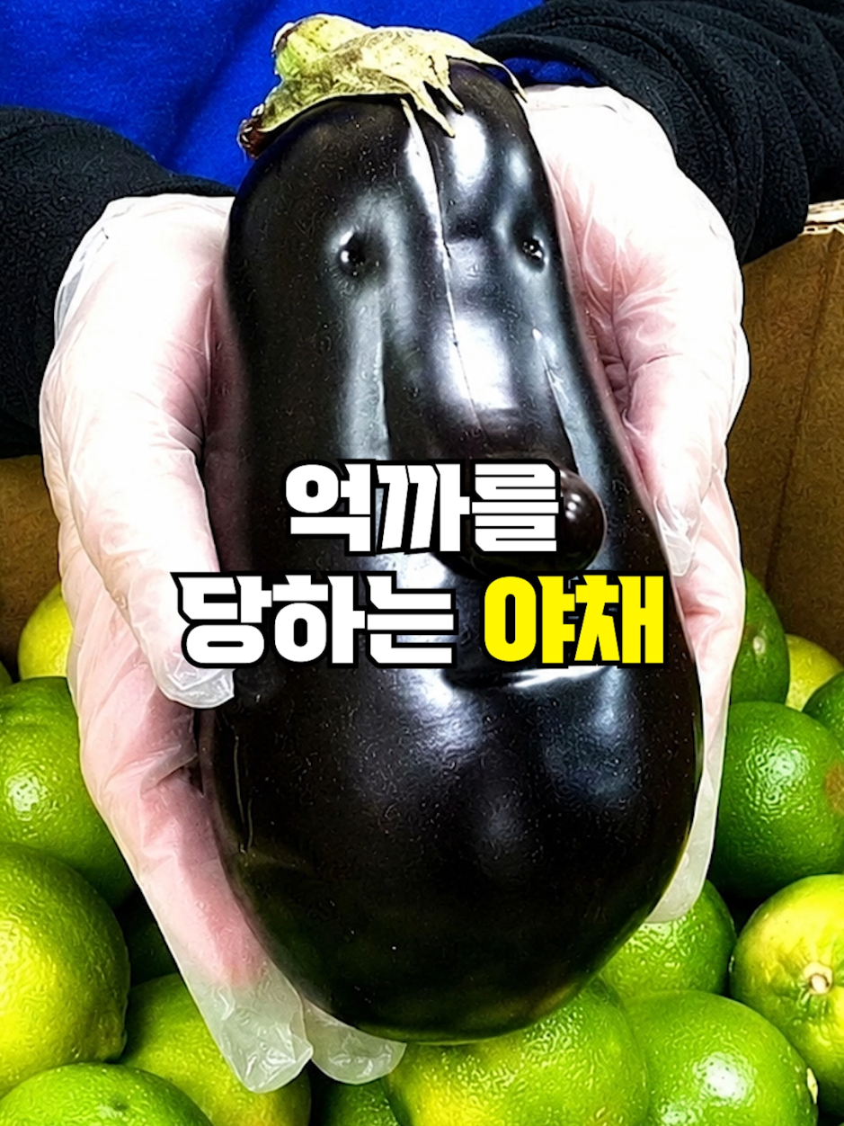 @뚝딱 상식 뚝배기