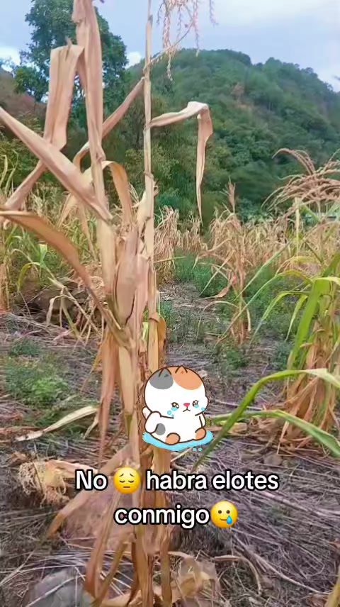 @๐
๐ฌ๐น๐ฝ๐๐๐ M๐๐๐๐๐๐๐