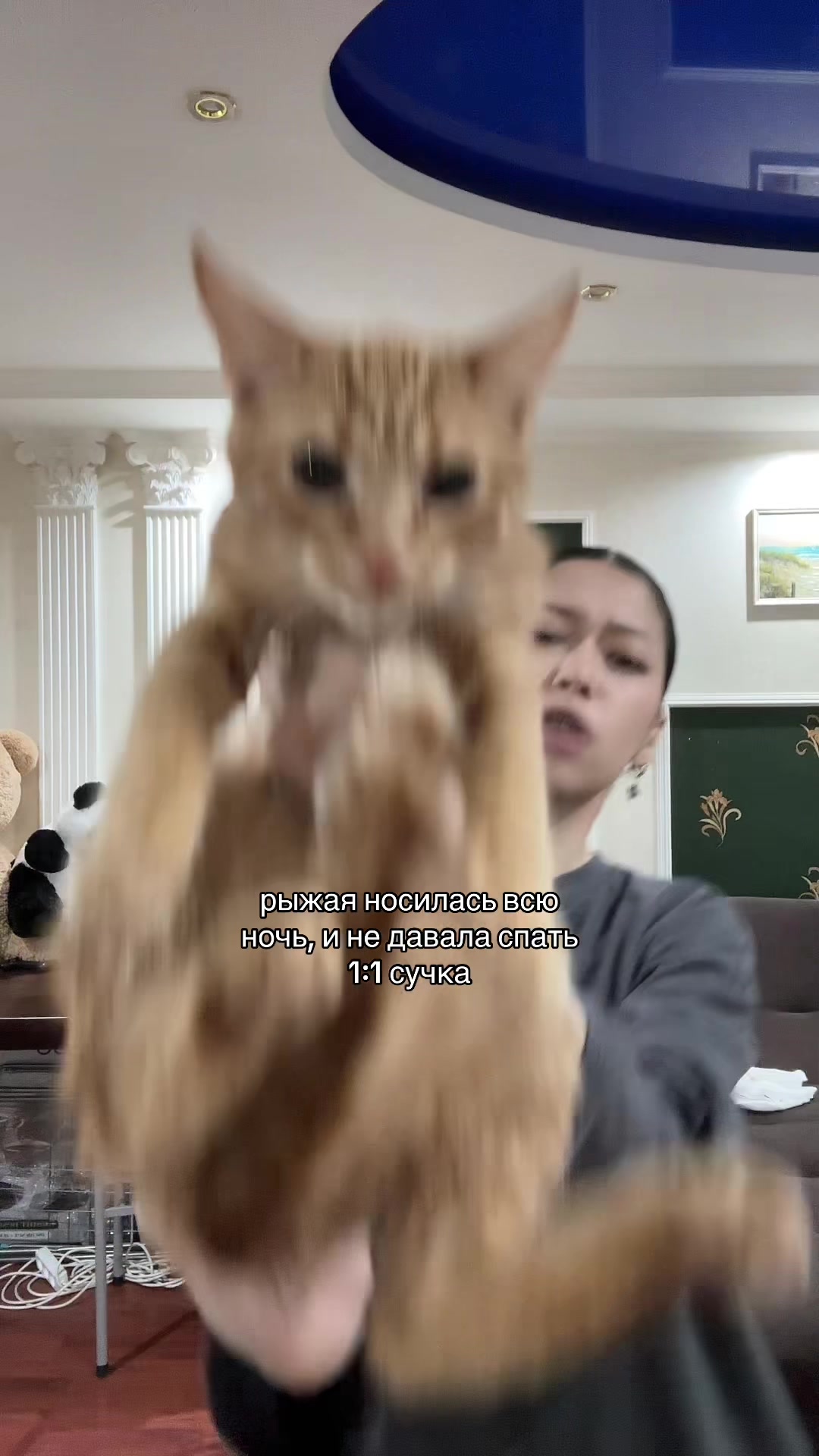 @tgk:annnastex.v