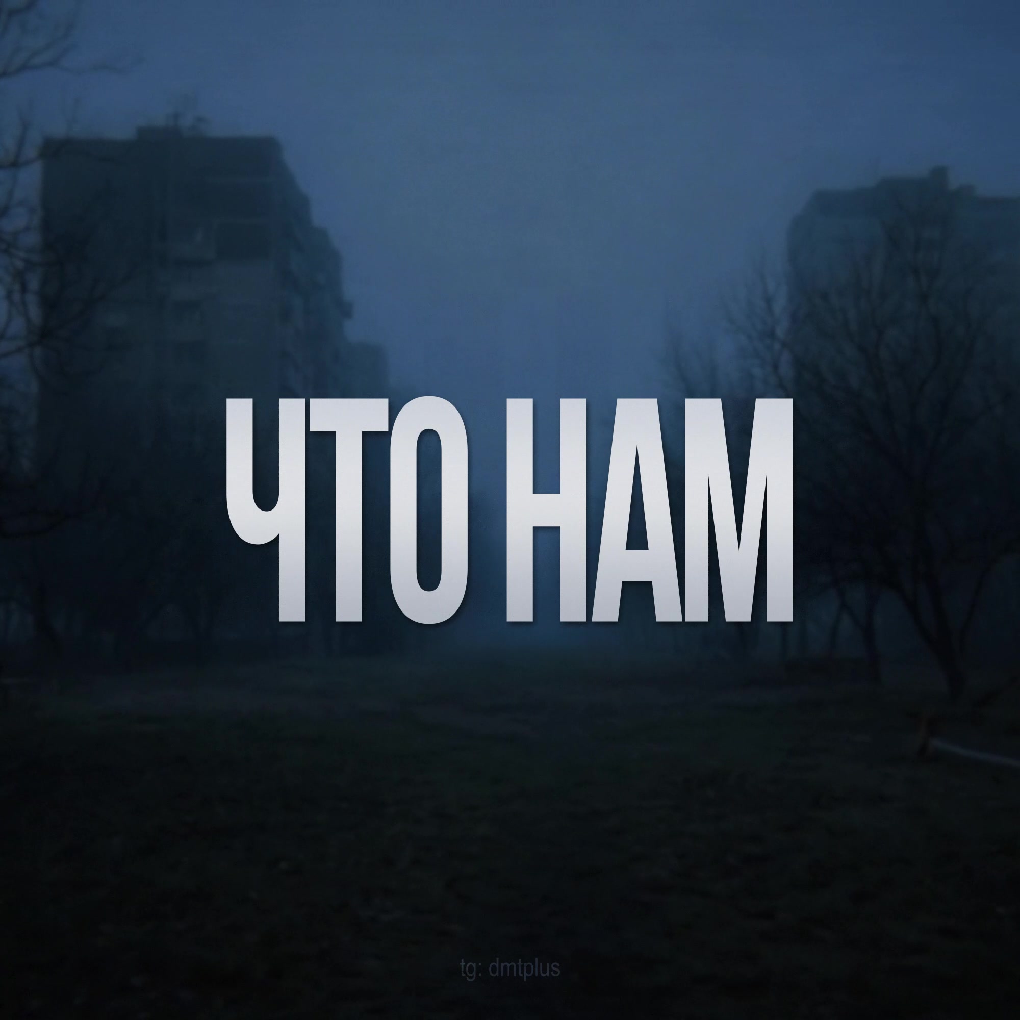 @dmt +