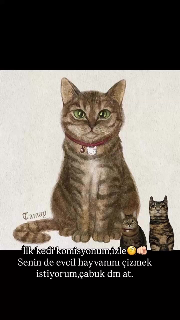 @𝓣𝓪𝓶𝓪𝔂(𝓗𝓮/𝓣𝓱𝓮𝔂)