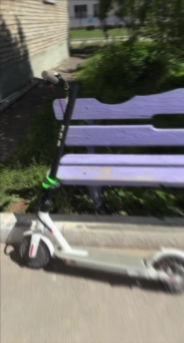 @🏚️STALKERSHA.666🚷