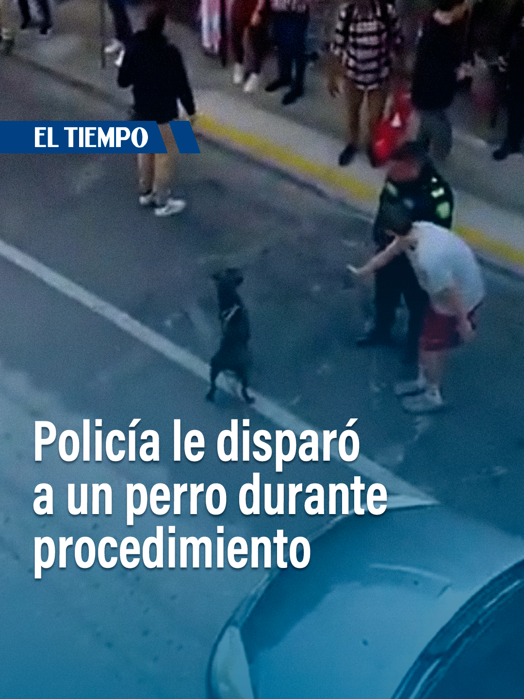@EL TIEMPO