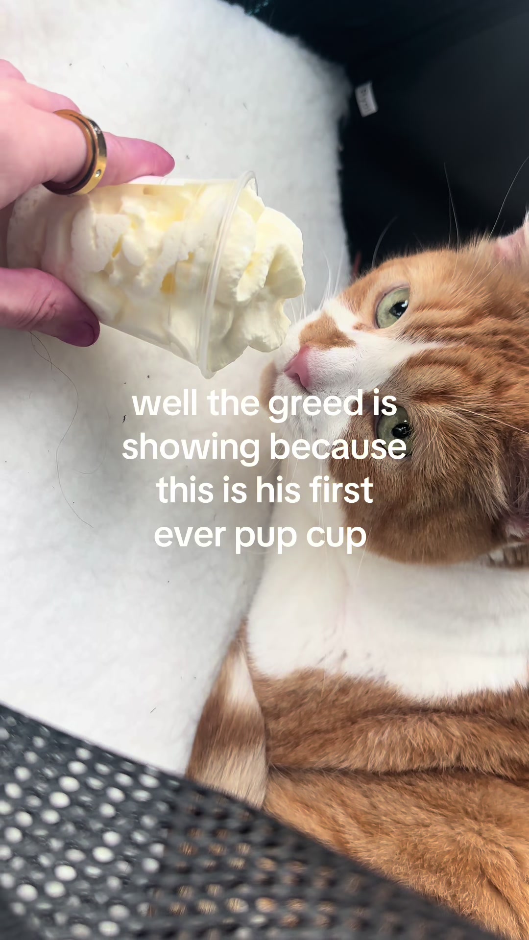 @🫐🫐🫐