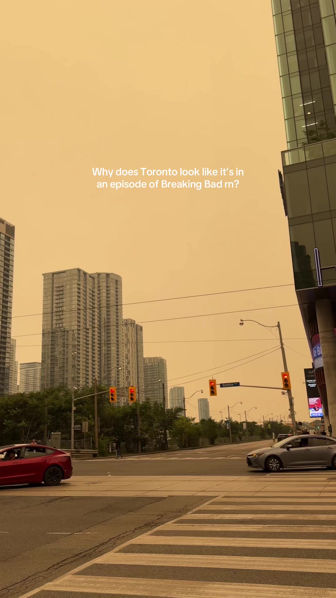 @Erin Chau | Toronto Lifestyle