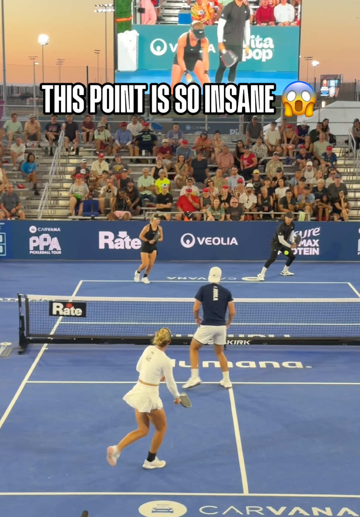 @pickleballdotcom