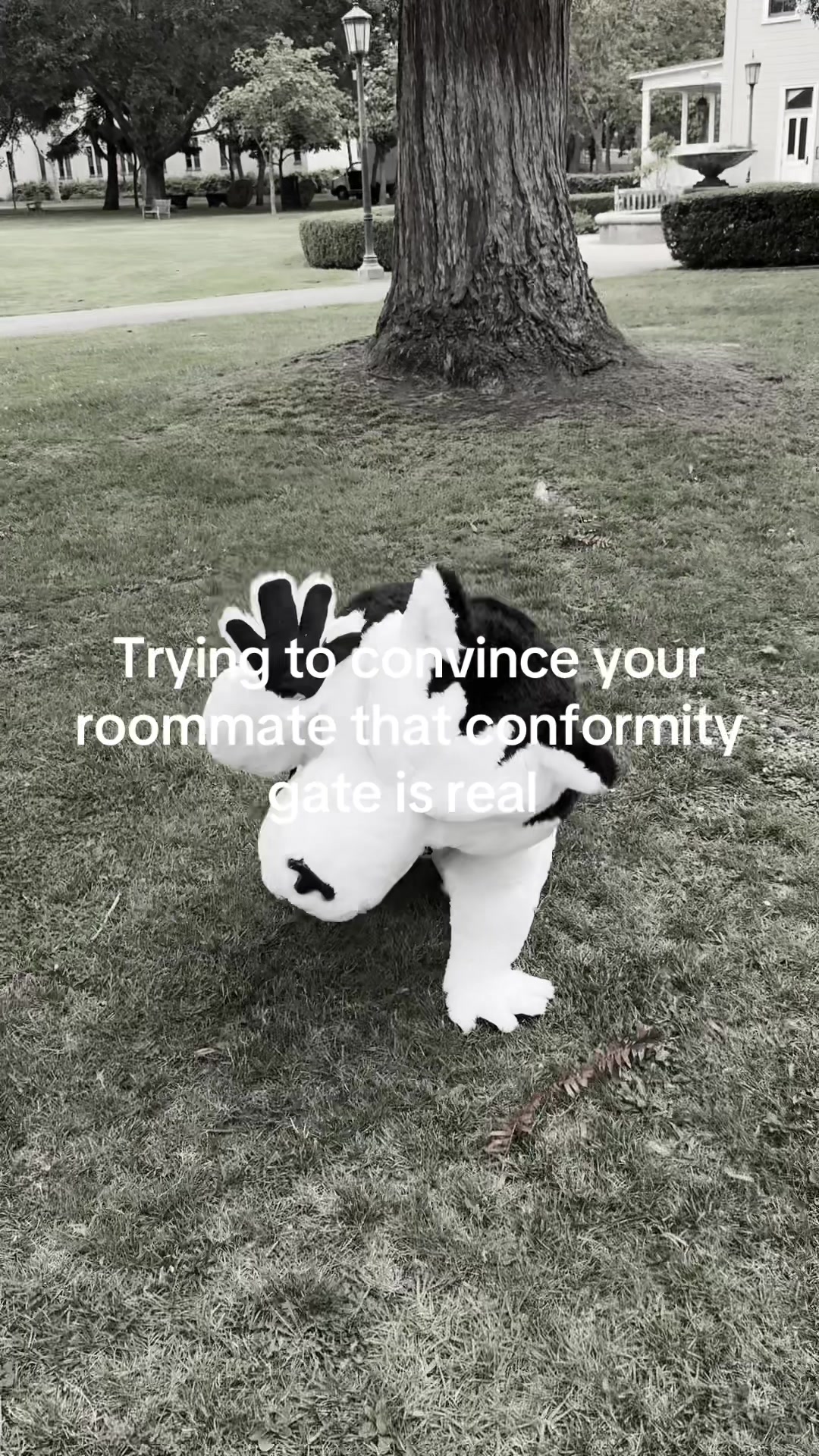 @nuoakland