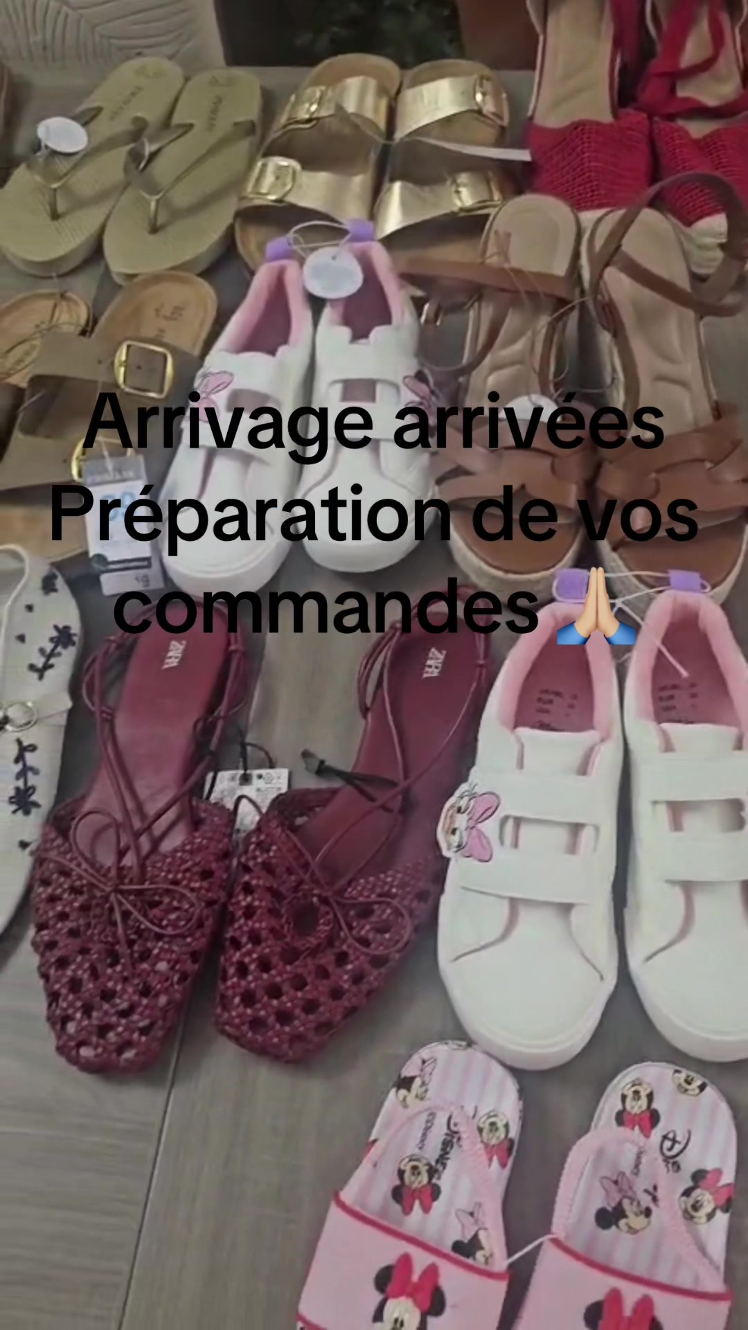 @Article français sig