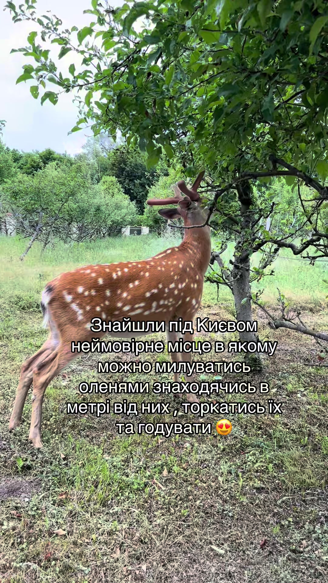 @ukrainemusicsong 🎧