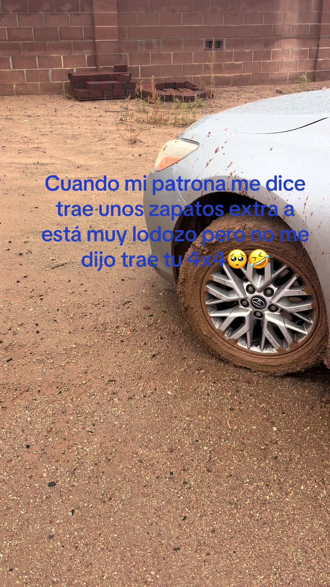 @santosaly10