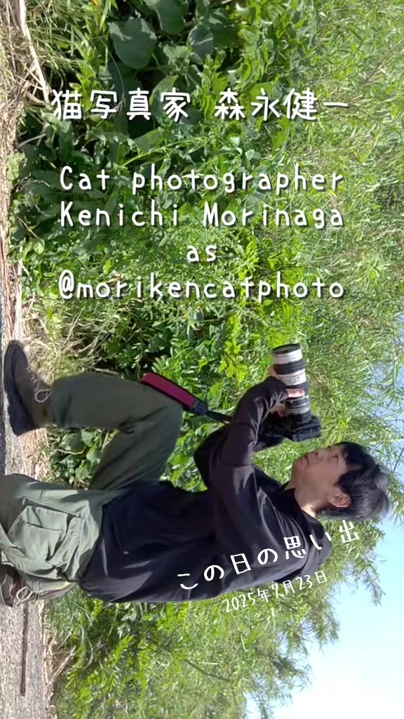 @猫写真家 森永健一