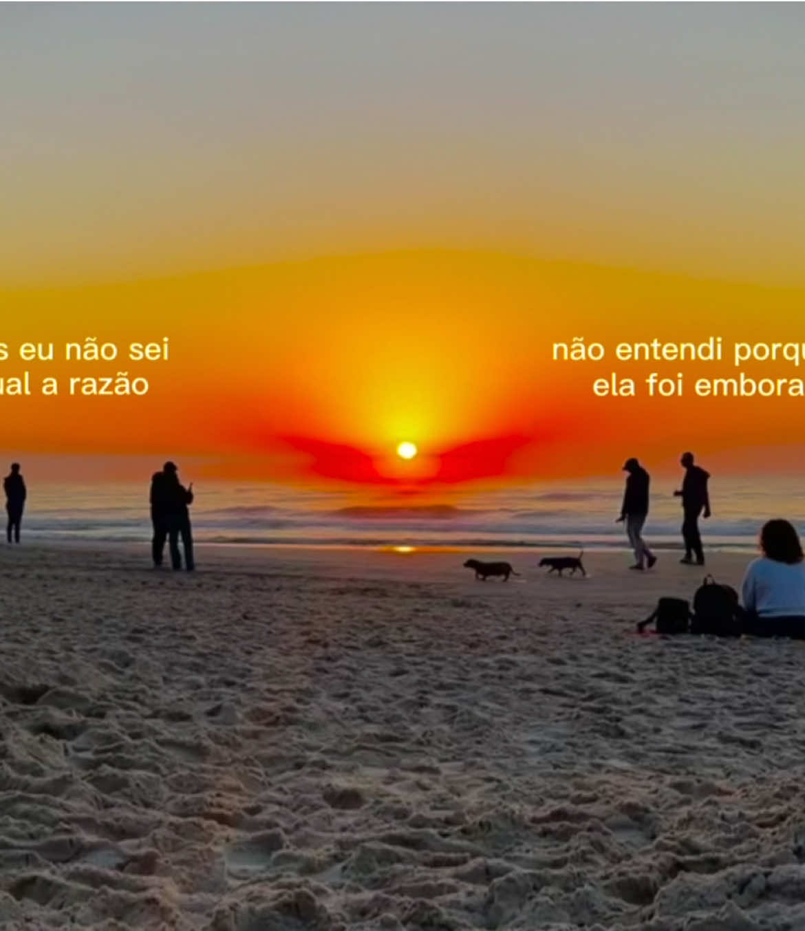 @gabriela carvalho