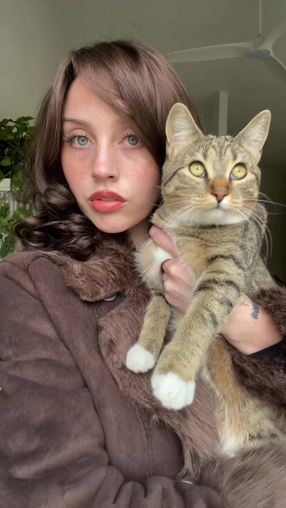 @✧:* T *✧･ﾟ