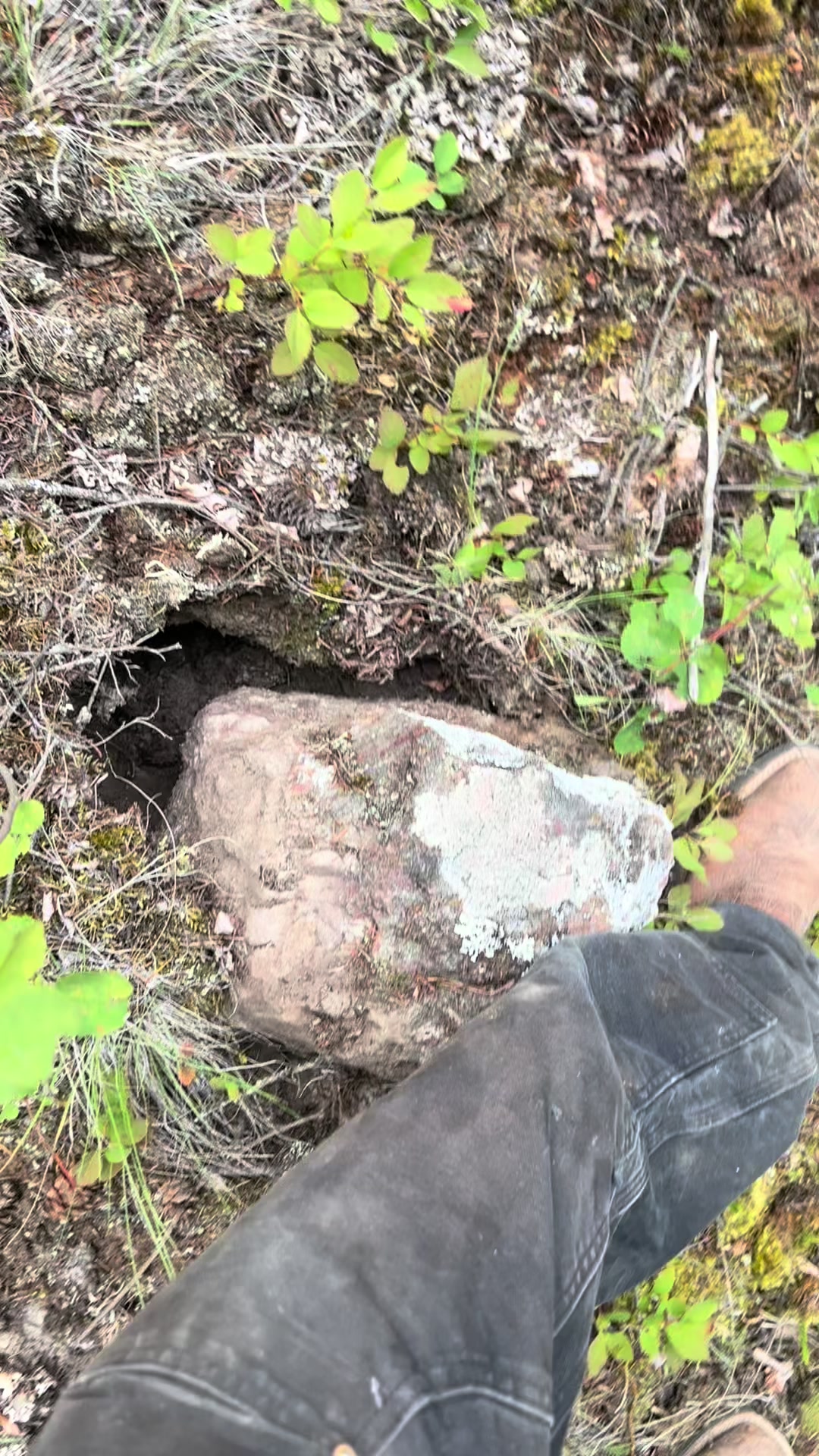 @The Rock guy