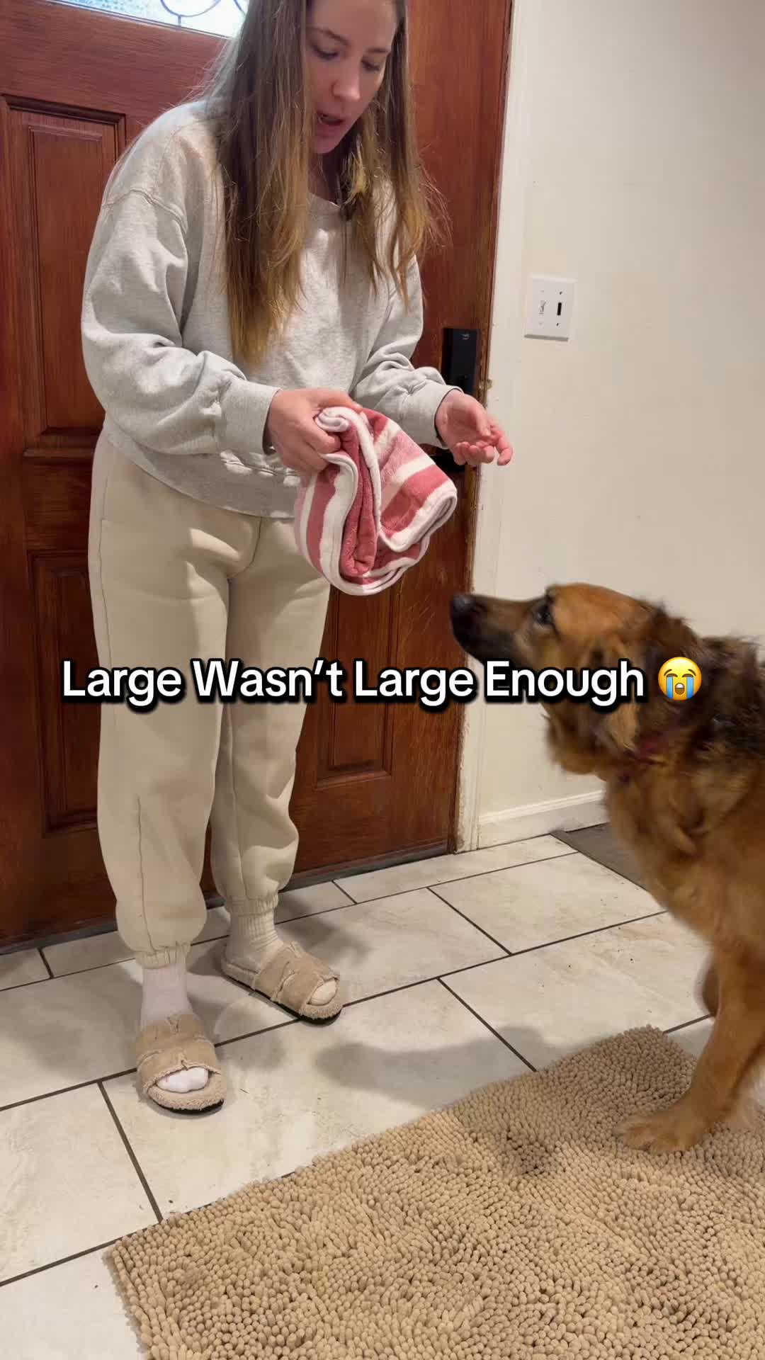 @lifewithgoldenshepherds