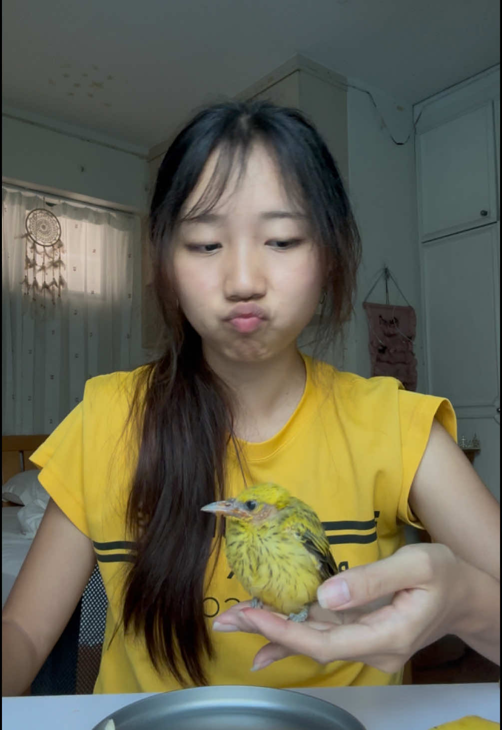 @kukujiao