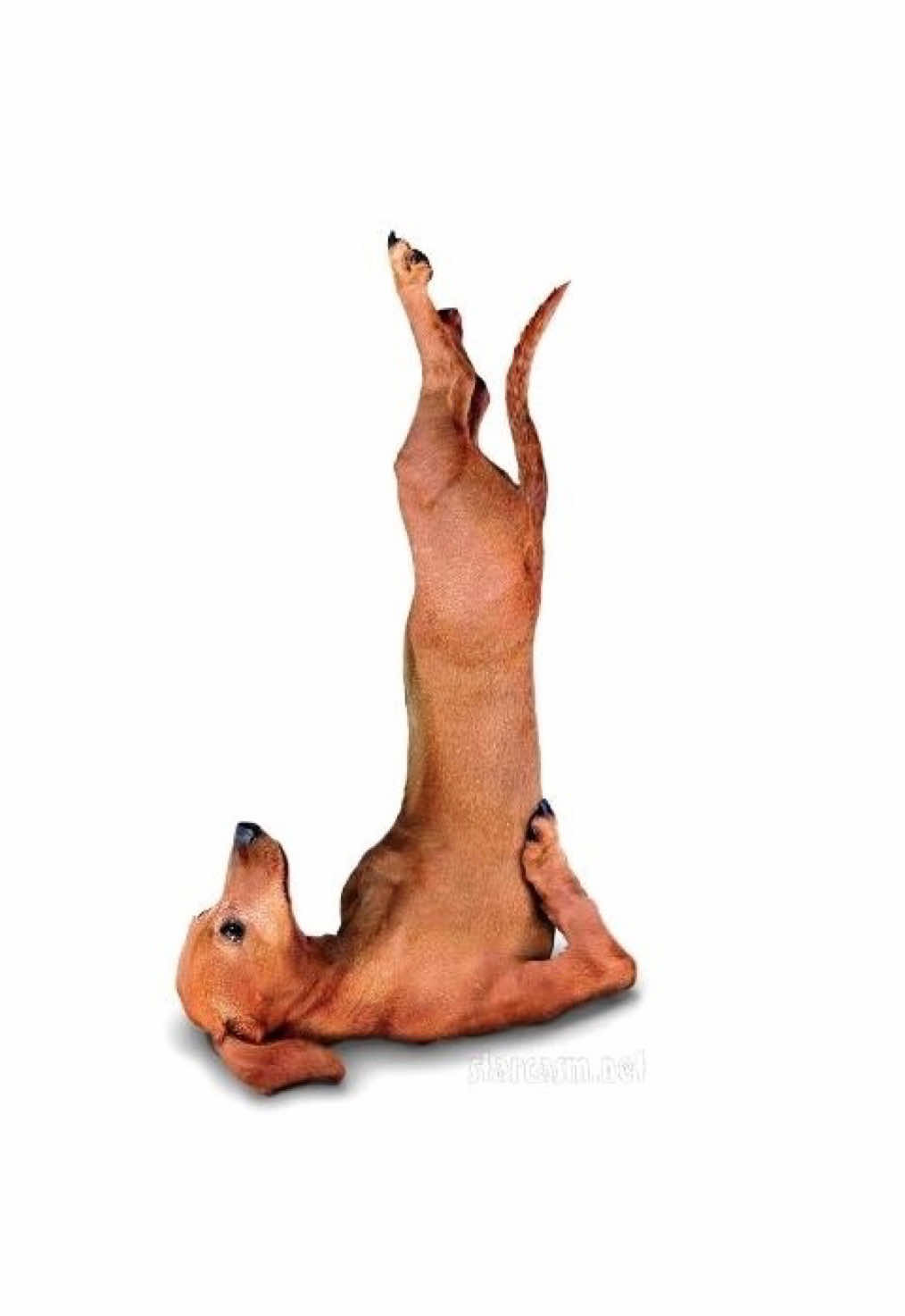 @Солнцева