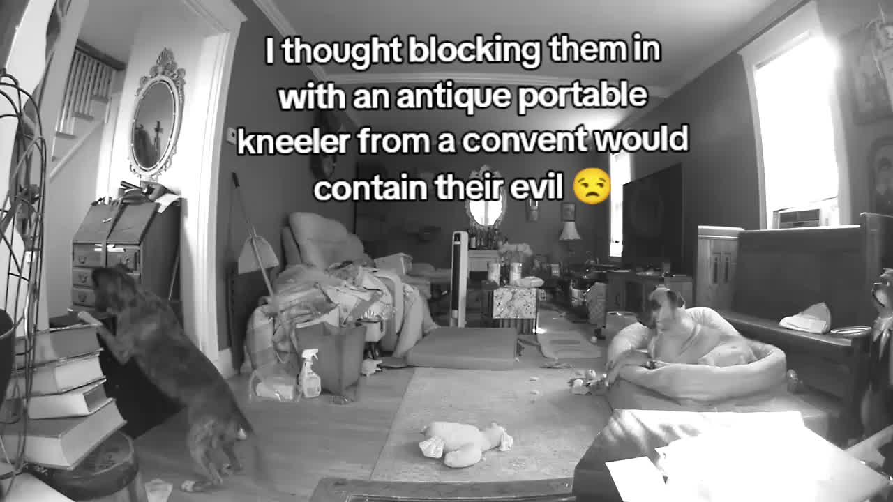 @Michelle Rigatoni