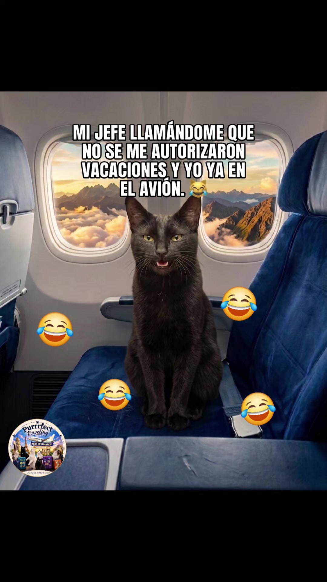 @Purrrfect Traveling
