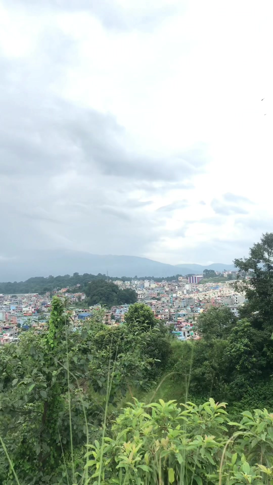 @kamalamagar2044
