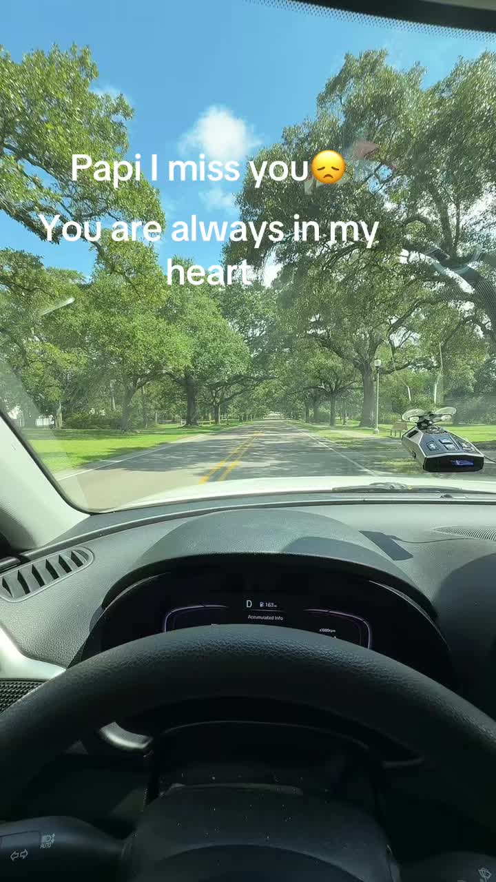@immortal