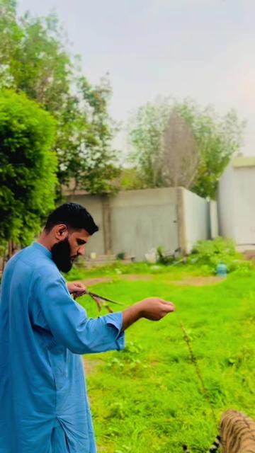 @🦅اسد خان آشاری🦅