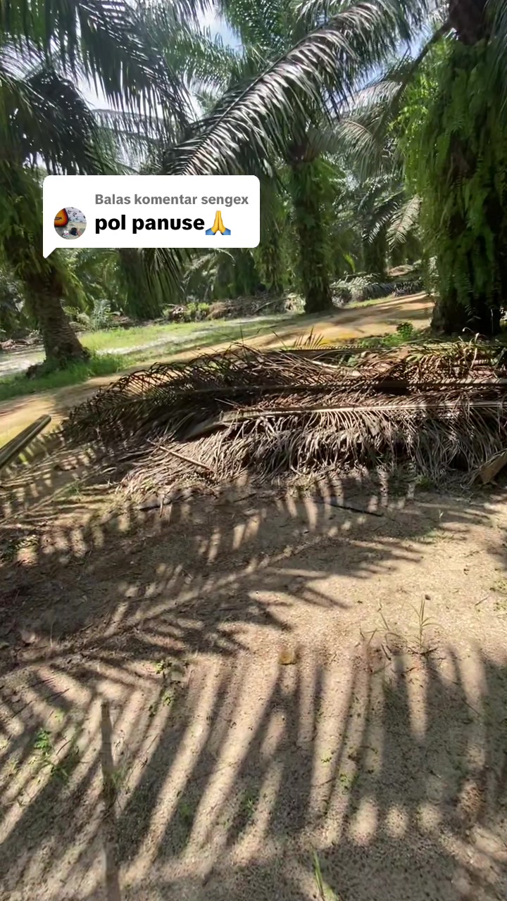 @Agus Pandu769