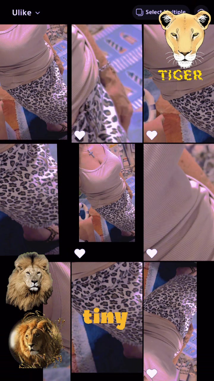 @suzietigerrose🐯🙏