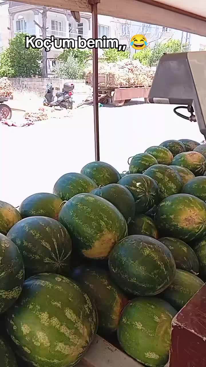 @Hataylı,,emoş