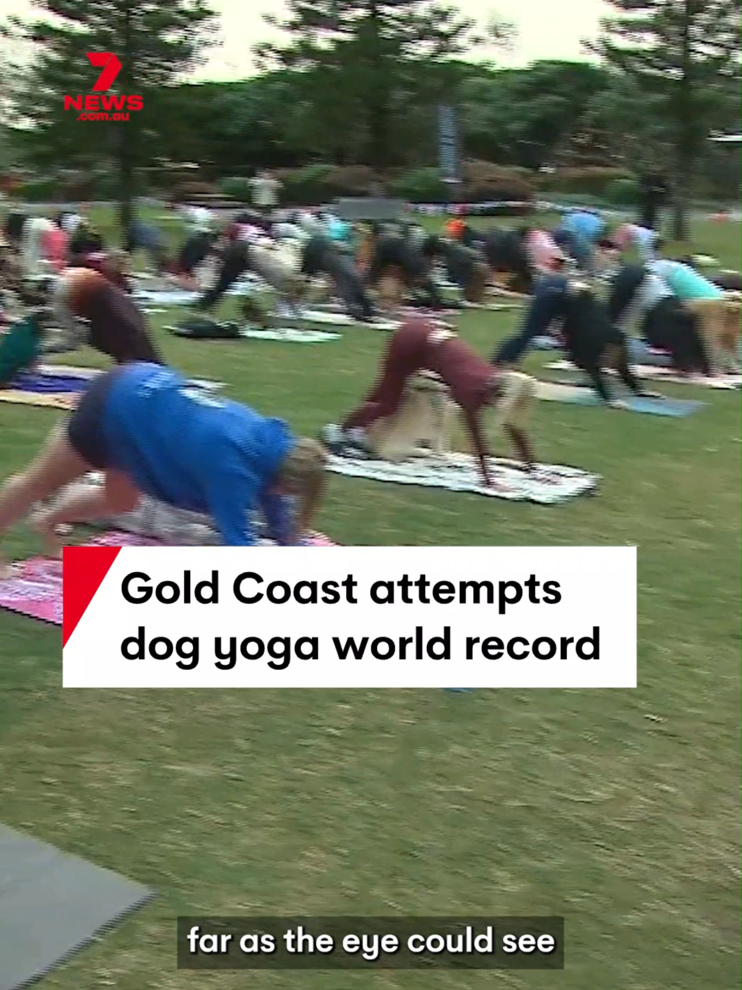 @7NEWS Australia