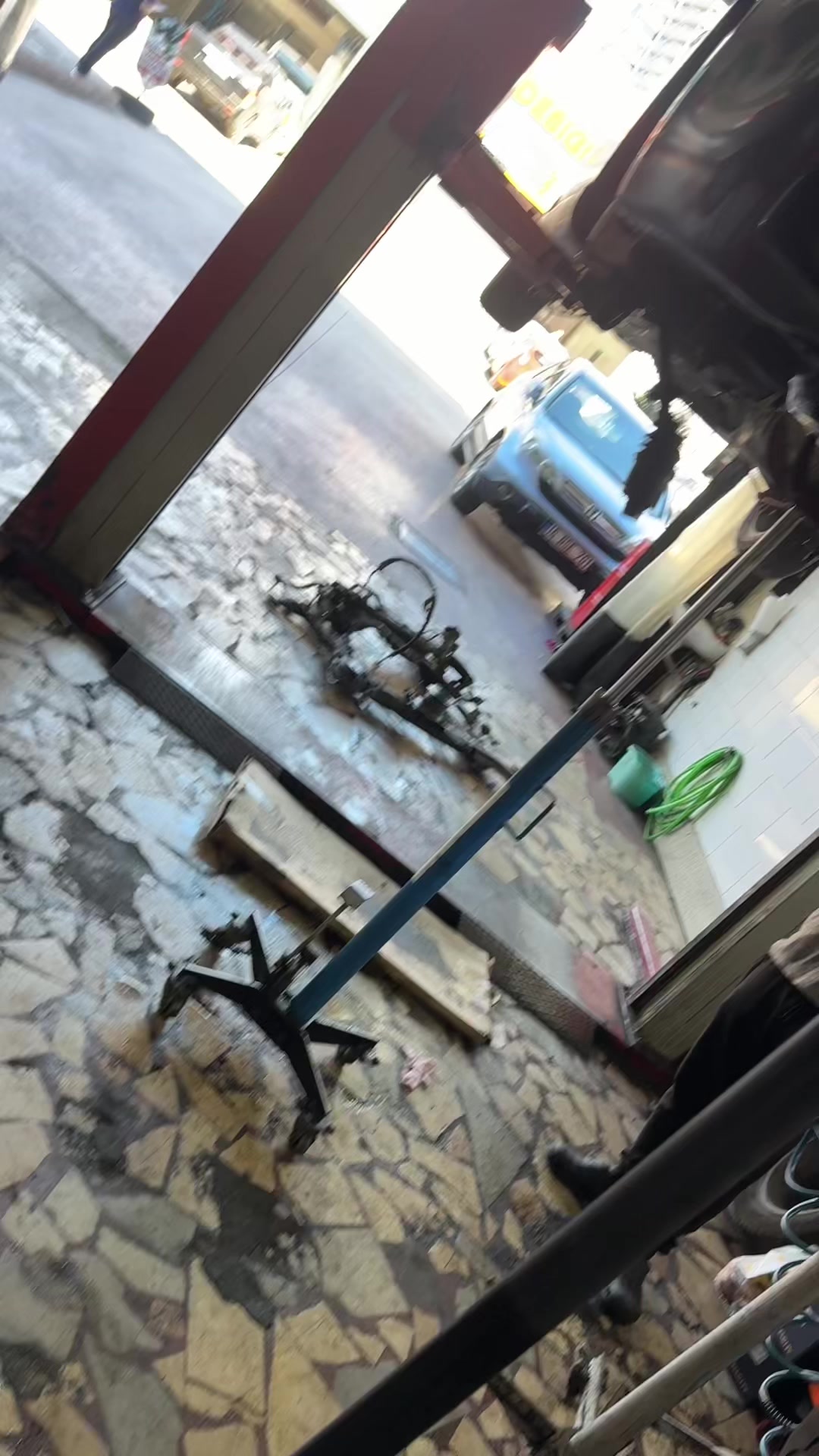 @&Ccedil;ağlayan Alg&uuml;l