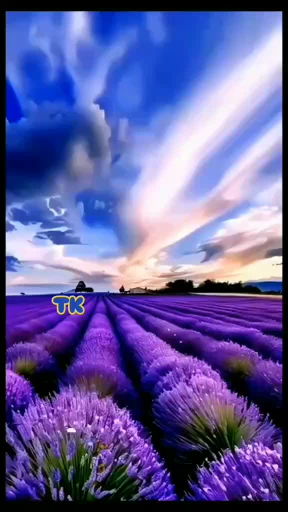 @ராஜேந்திரன் வெங்கரம்பூர்